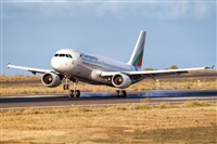 Javier de la Cruz - CANARY ISLANDS SPOTTING. Click to see full size photo
