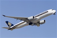 Rubn Gil - Noisy Spotters. Click to see full size photo