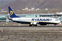 Alfonso Sols - Asociacin Canary Islands Spotting. Haz click para ampliar