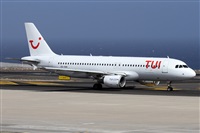 ©Alfonso Solís - Asociación Canary Islands Spotting. Click to see full size photo ©Alfonso Solís - Asociación Canary Islands Spotting. Click to see full size photo