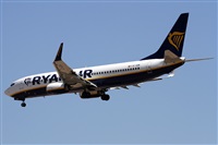 Alfonso Sols - Asociacin Canary Islands Spotting. Haz click para ampliar