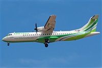 Cndida Hidalgo - Gran Canaria Spotters. Click to see full size photo