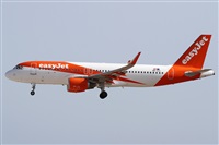 Alfonso Sols - Asociacin Canary Islands Spotting. Haz click para ampliar