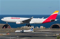 ©Adolfo Bento - Gran Canaria Spotters. Click to see full size photo ©Adolfo Bento - Gran Canaria Spotters. Click to see full size photo