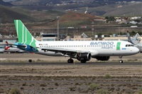 Alfonso Sols - Asociacin Canary Islands Spotting. Click to see full size photo