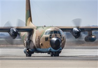 Oriol-Spotters Barcelona-El Prat. Click to see full size photo