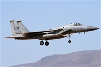 Alfonso Sols - Asociacin Canary Islands Spotting. Click to see full size photo