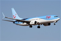 Alfonso Sols - Asociacin Canary Islands Spotting. Click to see full size photo
