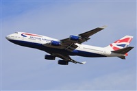 Miguel A. gueda Rguez.  (CANARY ISLANDS SPOTTING). Click to see full size photo