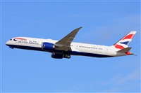 Miguel A. gueda Rguez.  (CANARY ISLANDS SPOTTING). Click to see full size photo