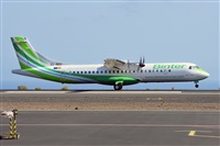Miguel A. gueda Rguez.  (CANARY ISLANDS SPOTTING). Click to see full size photo