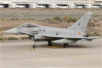Alfonso Sols - Asociacin Canary Islands Spotting. Haz click para ampliar