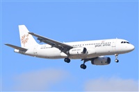 Miguel A. gueda Rguez.  (CANARY ISLANDS SPOTTING). Click to see full size photo
