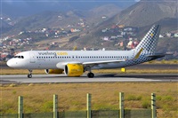 Miguel A. gueda Rguez.  (CANARY ISLANDS SPOTTING). Click to see full size photo