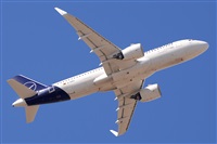 Miguel A. gueda Rguez.  (CANARY ISLANDS SPOTTING). Click to see full size photo