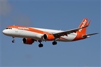 Alfonso Sols - Asociacin Canary Islands Spotting. Haz click para ampliar