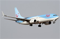 Alfonso Sols - Asociacin Canary Islands Spotting. Click to see full size photo