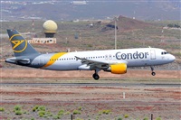 Miguel A. gueda Rguez.  (CANARY ISLANDS SPOTTING). Click to see full size photo