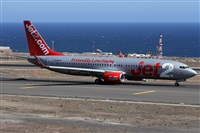 ©Alfonso Solís - Asociación Canary Islands Spotting. Click to see full size photo ©Alfonso Solís - Asociación Canary Islands Spotting. Click to see full size photo