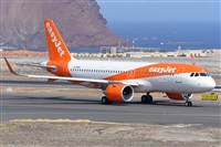 Miguel A. gueda Rguez.  (CANARY ISLANDS SPOTTING). Click to see full size photo