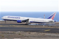 Miguel A. gueda Rguez.  (CANARY ISLANDS SPOTTING). Click to see full size photo