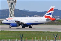 Miguel A. gueda Rguez.  (CANARY ISLANDS SPOTTING). Click to see full size photo