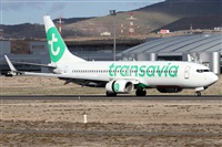 Alfonso Sols - Asociacin Canary Islands Spotting. Haz click para ampliar