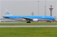 Miguel A. gueda Rguez.  (CANARY ISLANDS SPOTTING). Click to see full size photo
