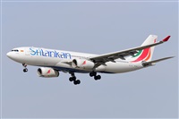 Miguel A. gueda Rguez.  (CANARY ISLANDS SPOTTING). Click to see full size photo