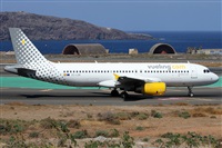©Alfonso Solís - Asociación Canary Islands Spotting. Click to see full size photo ©Alfonso Solís - Asociación Canary Islands Spotting. Click to see full size photo