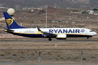 ©Alfonso Solís - Asociación Canary Islands Spotting. Click to see full size photo ©Alfonso Solís - Asociación Canary Islands Spotting. Click to see full size photo