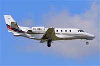 Miguel A. gueda Rguez.  (CANARY ISLANDS SPOTTING). Click to see full size photo
