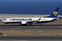 Alfonso Sols - Asociacin Canary Islands Spotting. Click to see full size photo