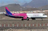 ©Alfonso Solís - Asociación Canary Islands Spotting. Click to see full size photo ©Alfonso Solís - Asociación Canary Islands Spotting. Click to see full size photo
