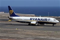 Alfonso Sols - Asociacin Canary Islands Spotting. Click to see full size photo