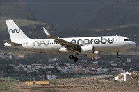 ©Adolfo Bento - Gran Canaria Spotters. Click to see full size photo ©Adolfo Bento - Gran Canaria Spotters. Click to see full size photo