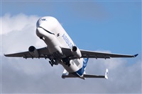 �Sergio Cambronero - Asociaci�n AIRE. Click to see full size photo