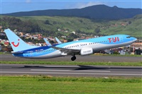 �Miguel A. �gueda Rguez.  (CANARY ISLANDS SPOTTING). Click to see full size photo