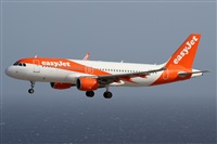�Alfonso Sol�s - Asociaci�n Canary Islands Spotting. Click to see full size photo