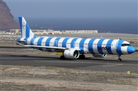 ©Alfonso Solís - Asociación Canary Islands Spotting. Click to see full size photo ©Alfonso Solís - Asociación Canary Islands Spotting. Click to see full size photo