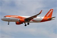 �Alfonso Sol�s - Asociaci�n Canary Islands Spotting. Click to see full size photo