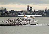 Melvin Pereira - Iberian Spotter. Click to see full size photo