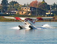Melvin Pereira - Iberian Spotter. Click to see full size photo