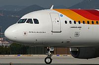 Jos Miguel Bernases - Noisy Spotters. Click to see full size photo