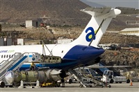 Javier de la Cruz - CANARY ISLANDS SPOTTING. Click to see full size photo