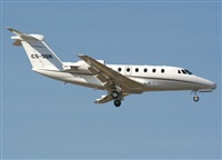 JAbreu                                                              www.portugalspotters.net. Click to see full size photo