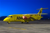 Javier de la Cruz - CANARY ISLANDS SPOTTING. Click to see full size photo