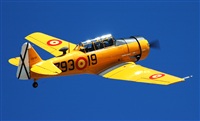 Fernando Hernndez Oporto_AIRE. Click to see full size photo
