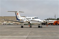 Javier de la Cruz - CANARY ISLANDS SPOTTING. Click to see full size photo