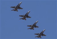 Alejandro H.L - Gran Canaria Spotters. Click to see full size photo